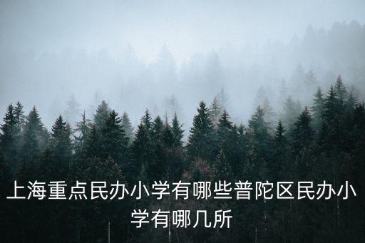 上海重點民辦小學有哪些普陀區民辦小學有哪幾所