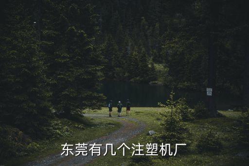 東莞有幾個(gè)注塑機(jī)廠