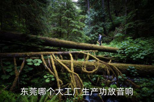 東莞塘廈石潭埔新工業區音響廠，我是剛來東莞的我想知道東莞生產音響廠出名點有哪些麻煩大家告