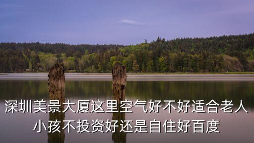 深圳美景大廈這里空氣好不好適合老人小孩不投資好還是自住好百度