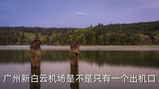 廣州新白云機場是不是只有一個出機口