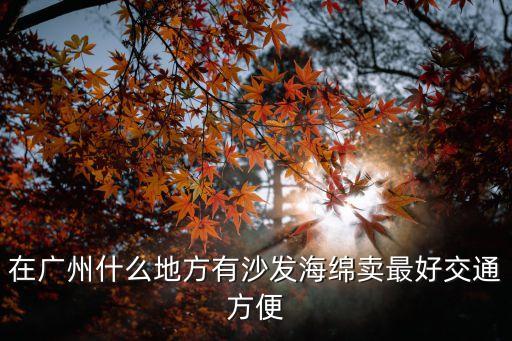 在廣州什么地方有沙發(fā)海綿賣最好交通方便