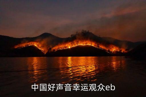 2020中國好聲音海選深圳，中國好聲音第二季海選本人在深圳在網上報名了怎么沒接