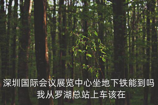 深圳國際會議展覽中心坐地下鐵能到嗎  我從羅湖總站上車該在