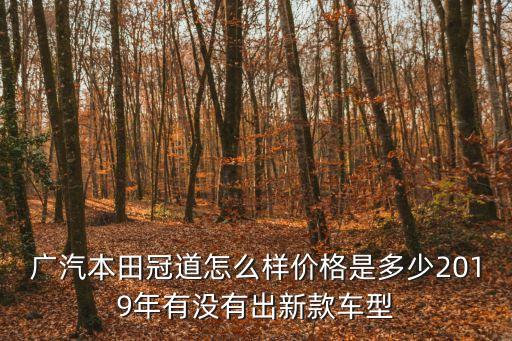廣汽本田冠道怎么樣價格是多少2019年有沒有出新款車型