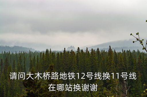 請問大木橋路地鐵12號線換11號線在哪站換謝謝