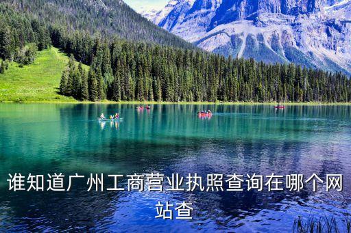 誰(shuí)知道廣州工商營(yíng)業(yè)執(zhí)照查詢(xún)?cè)谀膫€(gè)網(wǎng)站查