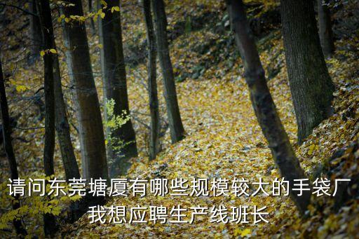 請問東莞塘廈有哪些規模較大的手袋廠我想應聘生產線班長