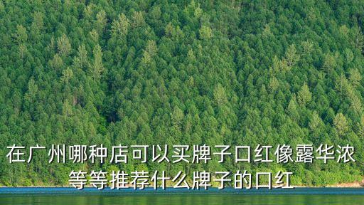 在廣州哪種店可以買牌子口紅像露華濃等等推薦什么牌子的口紅