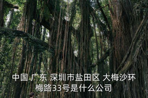 深圳鹽田區受歡迎電動車廠家，中國 廣東 深圳市鹽田區 大梅沙環梅路33號是什么公司