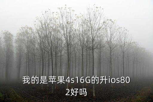 我的是蘋果4s16G的升ios802好嗎