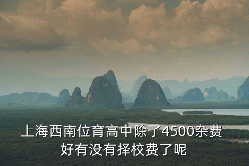 上海西南位育高中除了4500雜費 好有沒有擇校費了呢
