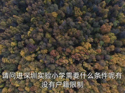 條子生進(jìn)深圳實(shí)驗(yàn)，深圳第二實(shí)驗(yàn)中學(xué)高一軍訓(xùn)
