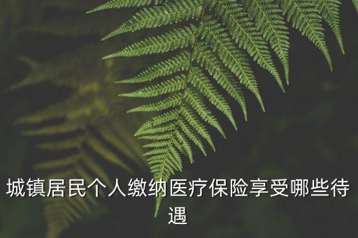 城鎮居民個人繳納醫療保險享受哪些待遇