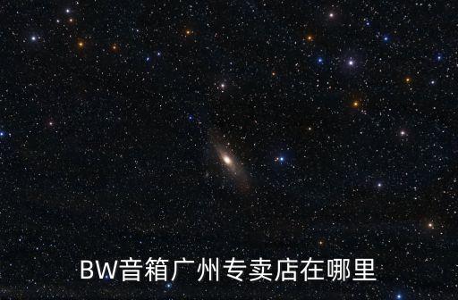 BW音箱廣州專賣店在哪里
