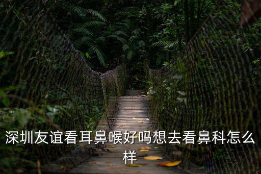 深圳五官科用心友誼，深圳友誼看耳鼻喉好嗎想去看鼻科怎么樣