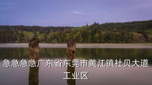 志邦飾品東莞黃江，急急急急廣東省東莞市黃江鎮(zhèn)社貝大道工業(yè)區(qū)