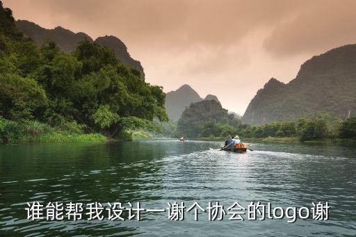誰(shuí)能幫我設(shè)計(jì)一謝個(gè)協(xié)會(huì)的logo謝