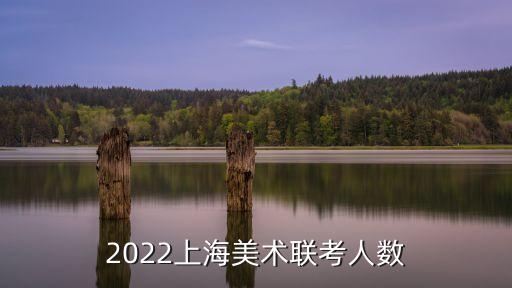 2014上海市美術聯考多少人，2012年上海美術聯考大約總共多少人