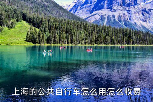 上海市公共自行車規范，上海公共自行車