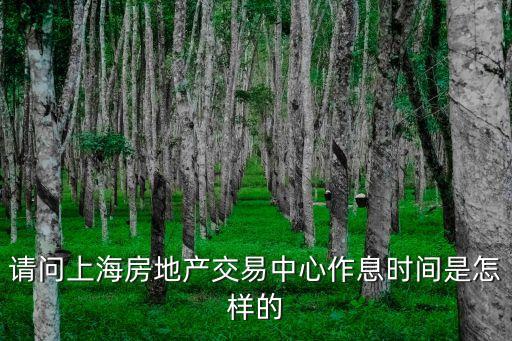上海市房屋交易中心周末上班時間，上海房產交易中心 法定假日休息嗎