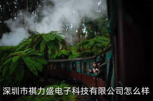 深圳市祺力盛電子科技有限公司怎么樣