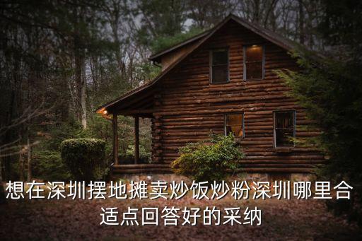 深圳哪里可以擺炒粉攤，請問各位朋友在深圳那里有晚上很熱鬧的地方可以做小吃的擺地攤比如