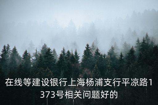 在線等建設銀行上海楊浦支行平涼路1373號相關問題好的