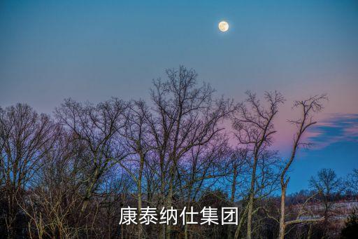 廣州康泰集團(tuán)，康泰集團(tuán)旗下有哪些成員公司