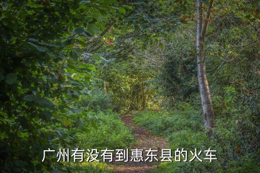 廣州到惠東縣火車(chē)，廣州有沒(méi)有到惠東縣的火車(chē)