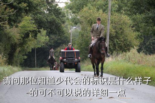 上海市蒙山中學少代會，求少代會提案22點之前高分懸賞急求