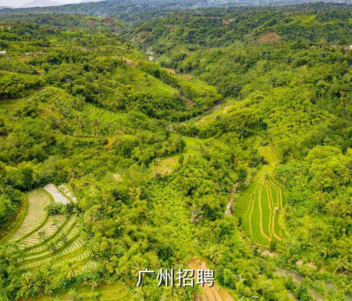 廣州招聘