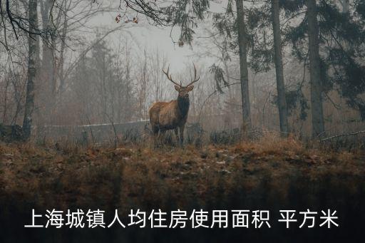 上海城鎮人均住房使用面積 平方米