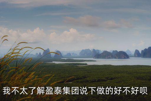 我不太了解盈泰集團說下做的好不好唄