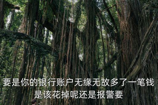 要是你的銀行賬戶無緣無故多了一筆錢是該花掉呢還是報警要