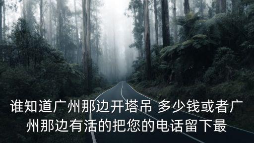 誰知道廣州那邊開塔吊 多少錢或者廣州那邊有活的把您的電話留下最