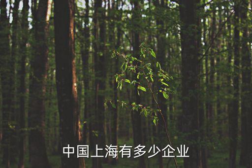 中國(guó)上海有多少企業(yè)