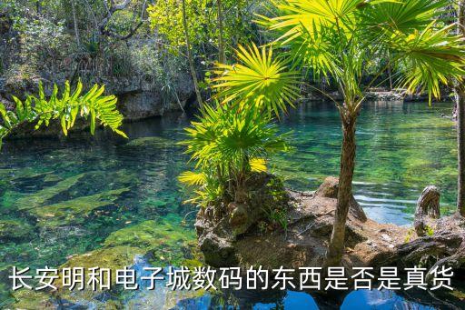 長安明和電子城數碼的東西是否是真貨