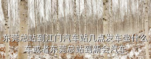 東莞總站到江門汽車站幾點發車坐什么車或者東莞總站到新會汽車
