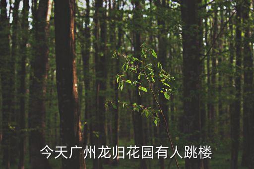 今天廣州龍歸花園有人跳樓