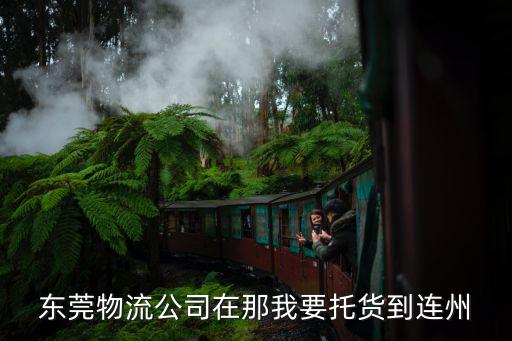 東莞物流公司在那我要托貨到連州