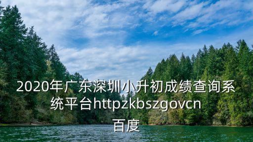 2020年廣東深圳小升初成績查詢系統平臺httpzkbszgovcn百度