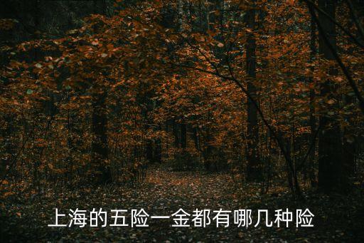 上海的五險一金都有哪幾種險