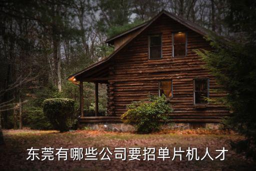 東莞有哪些公司要招單片機人才