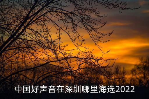 中國好聲音在深圳哪里海選2022