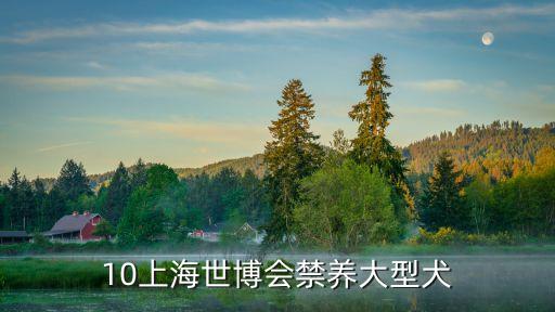 10上海世博會(huì)禁養(yǎng)大型犬