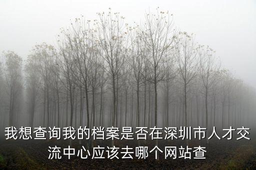 我想查詢我的檔案是否在深圳市人才交流中心應該去哪個網(wǎng)站查