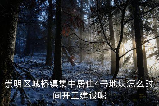 上海市4號地塊，地塊4號線最晚幾點