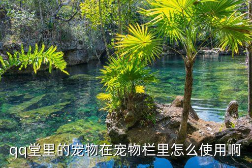 qq堂里的寵物在寵物欄里怎么使用啊