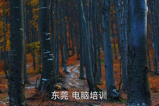東莞正規前端培訓，東莞哪里能學WEB前端開發